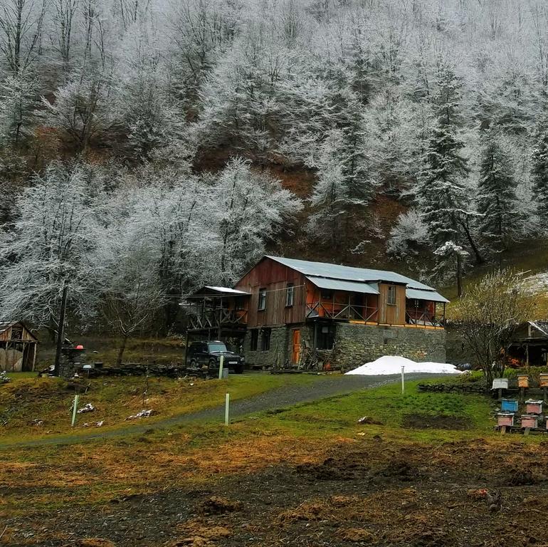 Korsha Guesthouse Roshka Экстерьер фото